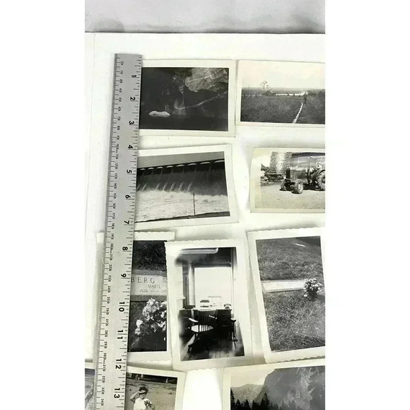 VTG 27 B&W Photographs Travel Animals Wildlife Grave Cars Farming 40's Ephemera - Picture 8 of 16